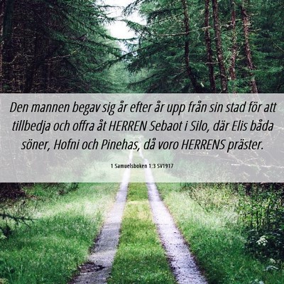 Picture 06 - 1 Samuelsboken 1:3 SV1917 - Den mannen begav sig år efter år upp från sin - Bible Verse Picture