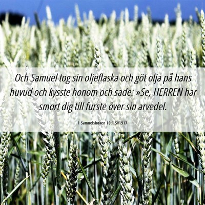 Picture 06 - 1 Samuelsboken 10:1 SV1917 - Och Samuel tog sin oljeflaska och göt olja på - Bible Verse Picture