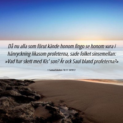 Picture 06 - 1 Samuelsboken 10:11 SV1917 - Då nu alla som förut kände honom fingo se - Bible Verse Picture