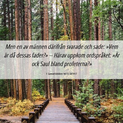 Picture 06 - 1 Samuelsboken 10:12 SV1917 - Men en av männen därifrån svarade och sade: - Bible Verse Picture