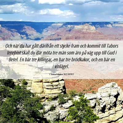 Picture 06 - 1 Samuelsboken 10:3 SV1917 - Och när du har gått därifrån ett stycke fram - Bible Verse Picture