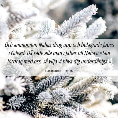 Picture 06 - 1 Samuelsboken 11:1 SV1917 - Och ammoniten Nahas drog upp och belägrade Jabes - Bible Verse Picture