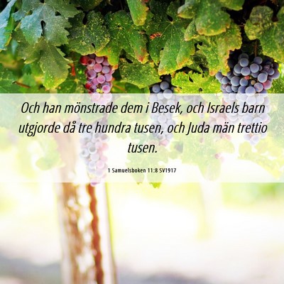 Picture 06 - 1 Samuelsboken 11:8 SV1917 - Och han mönstrade dem i Besek, och Israels barn - Bible Verse Picture