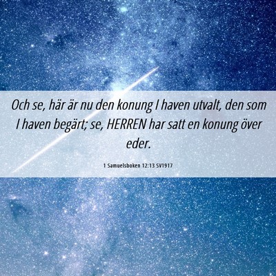 Picture 06 - 1 Samuelsboken 12:13 SV1917 - Och se, här är nu den konung I haven utvalt, - Bible Verse Picture