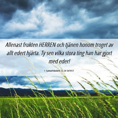 Picture 06 - 1 Samuelsboken 12:24 SV1917 - Allenast frukten HERREN och tjänen honom troget - Bible Verse Picture