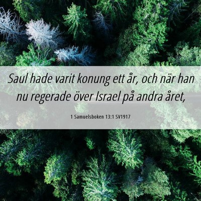Picture 06 - 1 Samuelsboken 13:1 SV1917 - Saul hade varit konung ett år, och när han nu - Bible Verse Picture