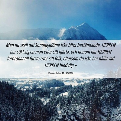 Picture 06 - 1 Samuelsboken 13:14 SV1917 - Men nu skall ditt konungadöme icke bliva - Bible Verse Picture