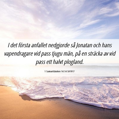 Picture 06 - 1 Samuelsboken 14:14 SV1917 - I det första anfallet nedgjorde så Jonatan och - Bible Verse Picture