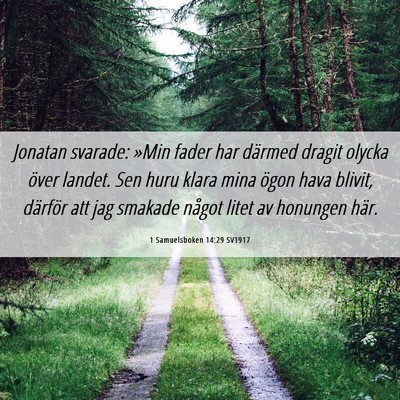 Picture 06 - 1 Samuelsboken 14:29 SV1917 - Jonatan svarade: »Min fader har därmed dragit - Bible Verse Picture