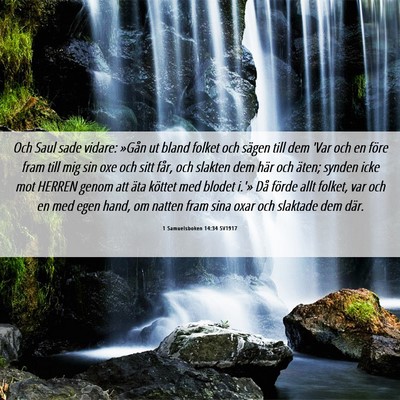 Picture 06 - 1 Samuelsboken 14:34 SV1917 - Och Saul sade vidare: »Gån ut bland folket och - Bible Verse Picture