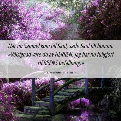Picture 06 - 1 Samuelsboken 15:13 SV1917 - När nu Samuel kom till Saul, sade Saul till - Bible Verse Picture
