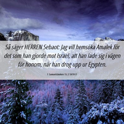 Picture 06 - 1 Samuelsboken 15:2 SV1917 - Så säger HERREN Sebaot: Jag vill hemsöka - Bible Verse Picture