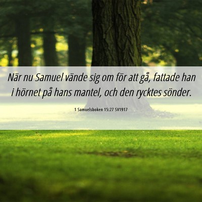 Picture 06 - 1 Samuelsboken 15:27 SV1917 - När nu Samuel vände sig om för att gå, - Bible Verse Picture