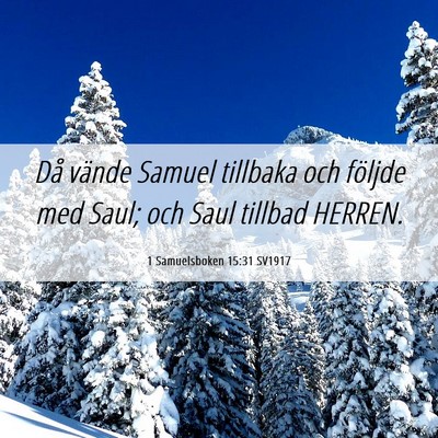 Picture 06 - 1 Samuelsboken 15:31 SV1917 - Då vände Samuel tillbaka och följde med Saul; - Bible Verse Picture
