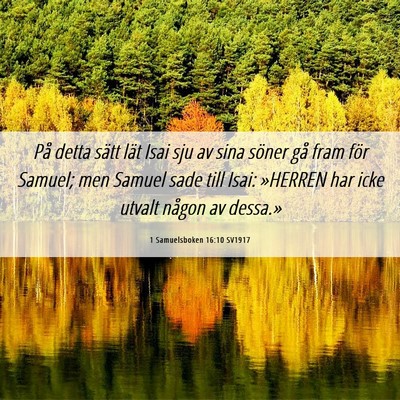 Picture 06 - 1 Samuelsboken 16:10 SV1917 - På detta sätt lät Isai sju av sina söner gå - Bible Verse Picture