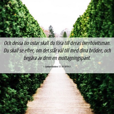 Picture 06 - 1 Samuelsboken 17:18 SV1917 - Och dessa tio ostar skall du föra till deras - Bible Verse Picture