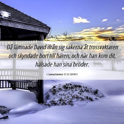 Picture 06 - 1 Samuelsboken 17:22 SV1917 - Då lämnade David ifrån sig sakerna åt - Bible Verse Picture