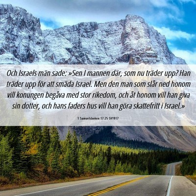 Picture 06 - 1 Samuelsboken 17:25 SV1917 - Och Israels män sade: »Sen I mannen där, som - Bible Verse Picture