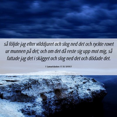 Picture 06 - 1 Samuelsboken 17:35 SV1917 - så följde jag efter vilddjuret och slog ned det - Bible Verse Picture