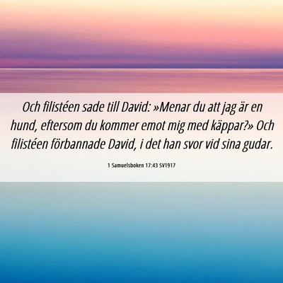 Picture 06 - 1 Samuelsboken 17:43 SV1917 - Och filistéen sade till David: »Menar du att - Bible Verse Picture