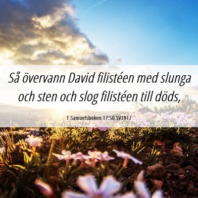 Picture 06 - 1 Samuelsboken 17:50 SV1917 - Så övervann David filistéen med slunga och - Bible Verse Picture