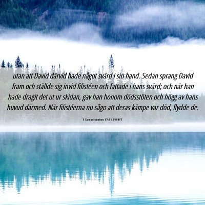 Picture 06 - 1 Samuelsboken 17:51 SV1917 - utan att David därvid hade något svärd i sin - Bible Verse Picture