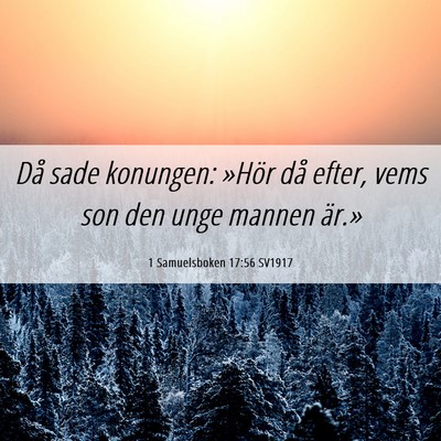 Picture 06 - 1 Samuelsboken 17:56 SV1917 - Då sade konungen: »Hör då efter, vems son den - Bible Verse Picture