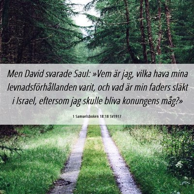 Picture 06 - 1 Samuelsboken 18:18 SV1917 - Men David svarade Saul: »Vem är jag, vilka hava - Bible Verse Picture