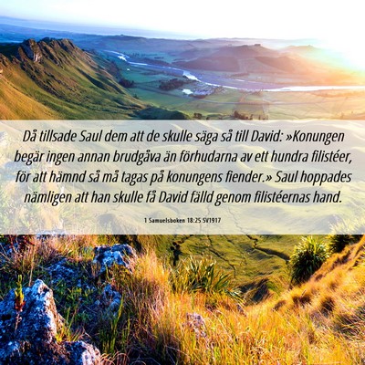 Picture 06 - 1 Samuelsboken 18:25 SV1917 - Då tillsade Saul dem att de skulle säga så - Bible Verse Picture