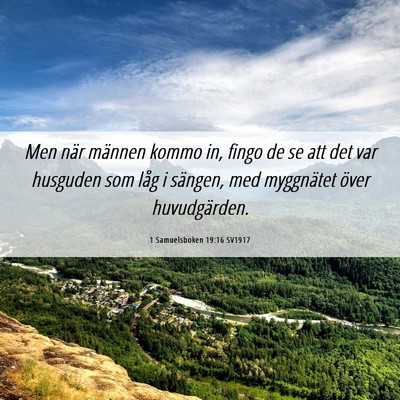 Picture 06 - 1 Samuelsboken 19:16 SV1917 - Men när männen kommo in, fingo de se att det - Bible Verse Picture