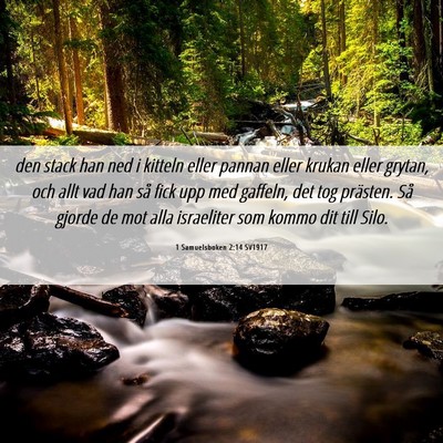 Picture 06 - 1 Samuelsboken 2:14 SV1917 - den stack han ned i kitteln eller pannan eller - Bible Verse Picture