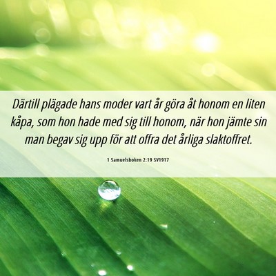 Picture 06 - 1 Samuelsboken 2:19 SV1917 - Därtill plägade hans moder vart år göra åt - Bible Verse Picture