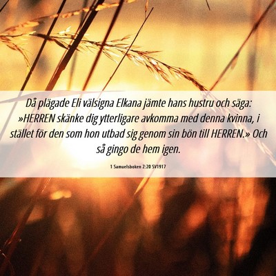 Picture 06 - 1 Samuelsboken 2:20 SV1917 - Då plägade Eli välsigna Elkana jämte hans - Bible Verse Picture