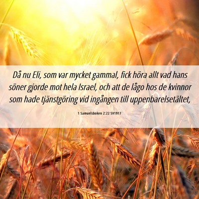 Picture 06 - 1 Samuelsboken 2:22 SV1917 - Då nu Eli, som var mycket gammal, fick höra - Bible Verse Picture
