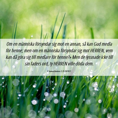 Picture 06 - 1 Samuelsboken 2:25 SV1917 - Om en människa försyndar sig mot en annan, så - Bible Verse Picture