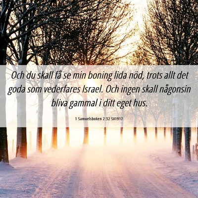 Picture 06 - 1 Samuelsboken 2:32 SV1917 - Och du skall få se min boning lida nöd, trots - Bible Verse Picture