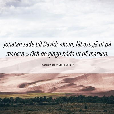 Picture 06 - 1 Samuelsboken 20:11 SV1917 - Jonatan sade till David: »Kom, låt oss gå ut - Bible Verse Picture
