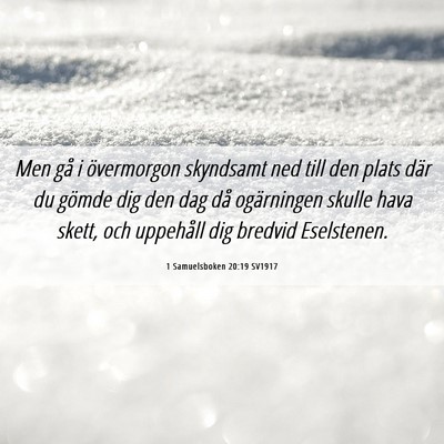 Picture 06 - 1 Samuelsboken 20:19 SV1917 - Men gå i övermorgon skyndsamt ned till den - Bible Verse Picture