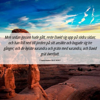 Picture 06 - 1 Samuelsboken 20:41 SV1917 - Men sedan gossen hade gått, reste David sig upp - Bible Verse Picture