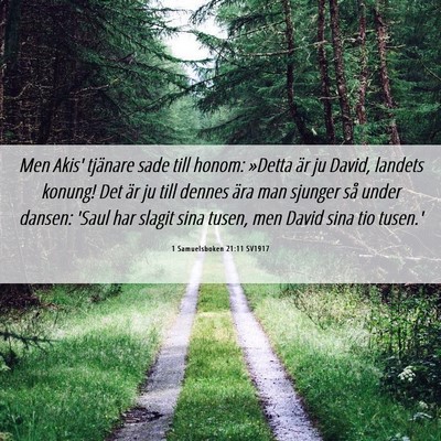Picture 06 - 1 Samuelsboken 21:11 SV1917 - Men Akis' tjänare sade till honom: »Detta är - Bible Verse Picture