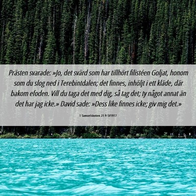 Picture 06 - 1 Samuelsboken 21:9 SV1917 - Prästen svarade: »Jo, det svärd som har - Bible Verse Picture