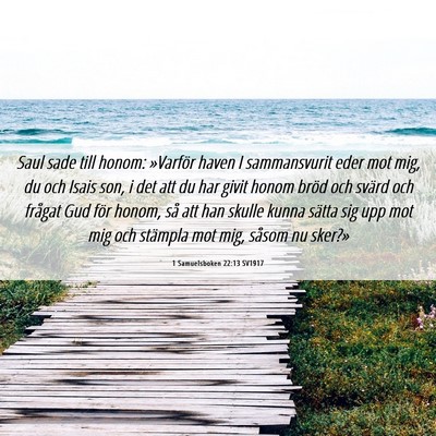 Picture 06 - 1 Samuelsboken 22:13 SV1917 - Saul sade till honom: »Varför haven I - Bible Verse Picture