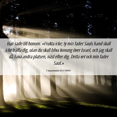 Picture 06 - 1 Samuelsboken 23:17 SV1917 - Han sade till honom: »Frukta icke; ty min fader - Bible Verse Picture