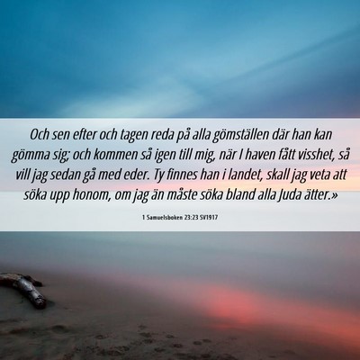 Picture 06 - 1 Samuelsboken 23:23 SV1917 - Och sen efter och tagen reda på alla - Bible Verse Picture