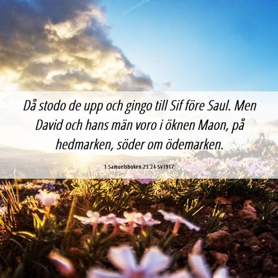 Picture 06 - 1 Samuelsboken 23:24 SV1917 - Då stodo de upp och gingo till Sif före Saul. - Bible Verse Picture