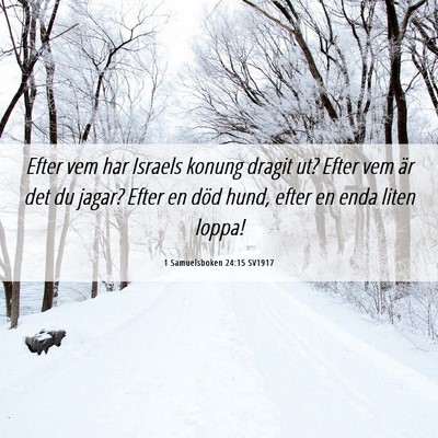 Picture 06 - 1 Samuelsboken 24:15 SV1917 - Efter vem har Israels konung dragit ut? Efter vem - Bible Verse Picture