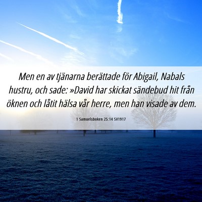 Picture 06 - 1 Samuelsboken 25:14 SV1917 - Men en av tjänarna berättade för Abigail, - Bible Verse Picture