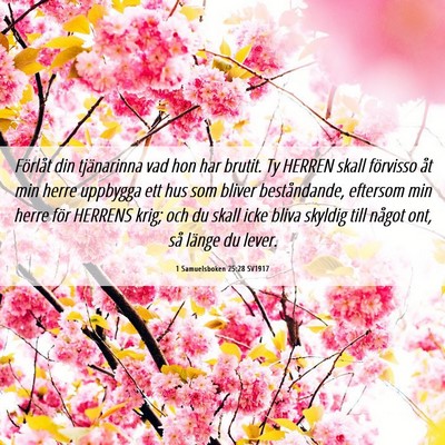 Picture 06 - 1 Samuelsboken 25:28 SV1917 - Förlåt din tjänarinna vad hon har brutit. Ty - Bible Verse Picture