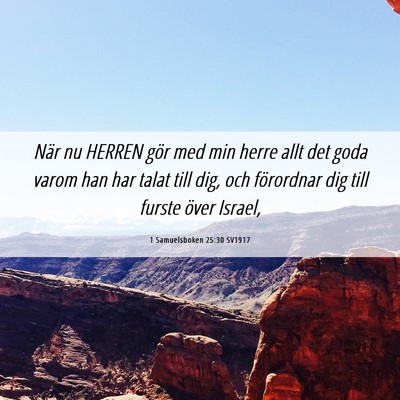 Picture 06 - 1 Samuelsboken 25:30 SV1917 - När nu HERREN gör med min herre allt det goda - Bible Verse Picture