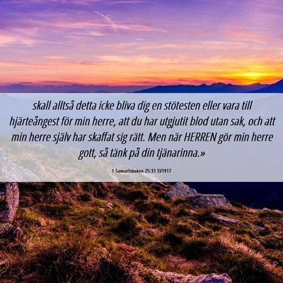 Picture 06 - 1 Samuelsboken 25:31 SV1917 - skall alltså detta icke bliva dig en stötesten - Bible Verse Picture